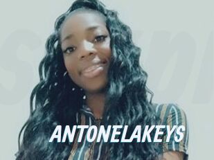 ANTONELAKEYS