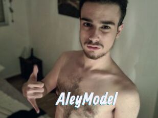 AleyModel