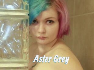 Aster_Grey