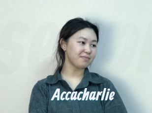 Accacharlie