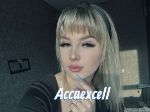 Accaexcell