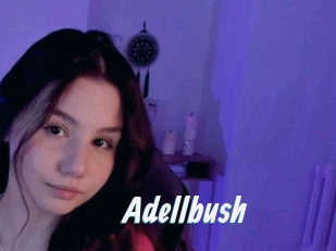 Adellbush