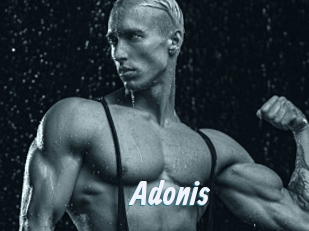 adonis_ Sexe Express