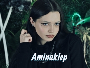 Aminaklep