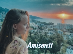 Amismett