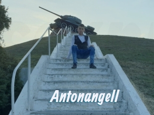 Antonangell