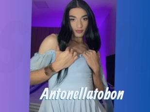 Antonellatobon