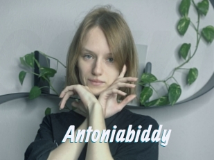 Antoniabiddy