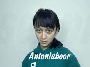 Antoniaboor