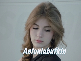 Antoniabufkin