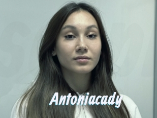 Antoniacady