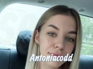 Antoniacodd