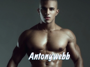 Antonywebb