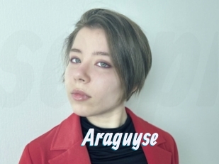 Araguyse