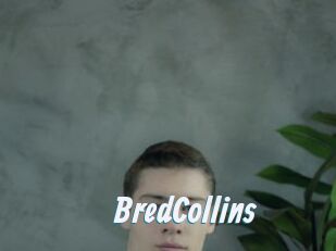 BredCollins