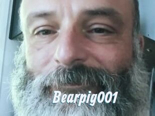 Bearpig001