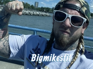 Bigmikesfit