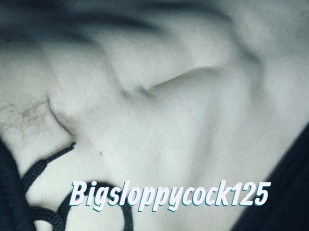 Bigsloppycock125