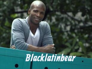 Blacklatinbear