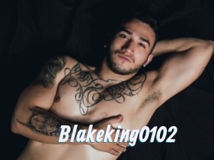 Blakeking0102