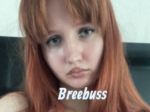 Breebuss