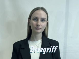 Breegriff