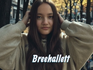 Breehallett