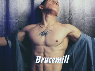 Brucemill