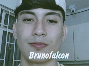 Brunofalcon