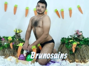 Brunosains