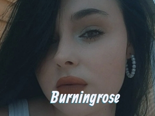 Burningrose