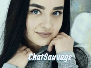 ChatSauvage