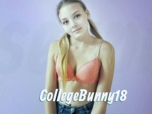 CollegeBunny18