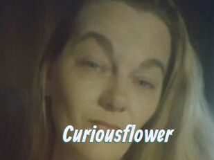 Curiousflower