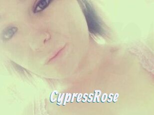 Cypress_Rose