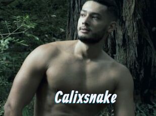 Calixsnake