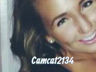 Camcat2134