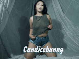 Candicebunny