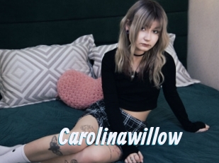 Carolinawillow