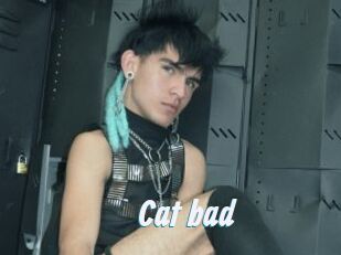 Cat_bad