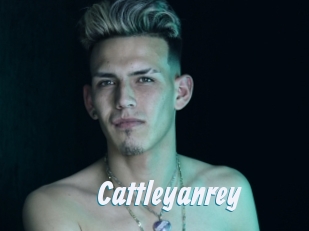 Cattleyanrey