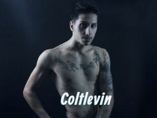 Coltlevin