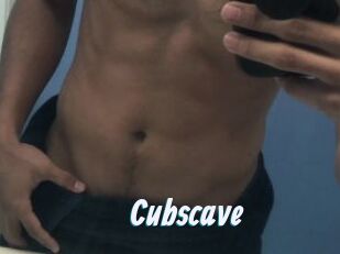 Cubscave