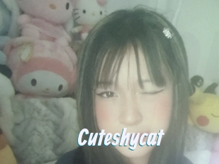 Cuteshycat