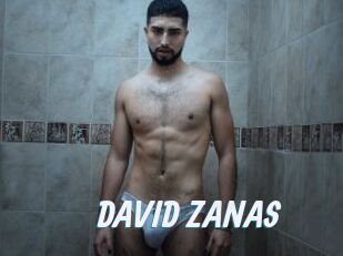 DAVID_ZANAS