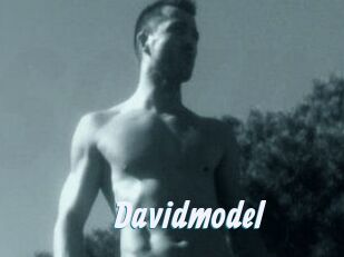 Davidmodel