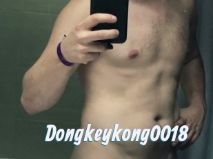 Dongkeykong0018