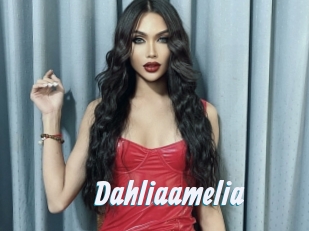 Dahliaamelia