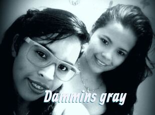 Dammins_gray