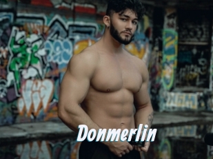 Donmerlin